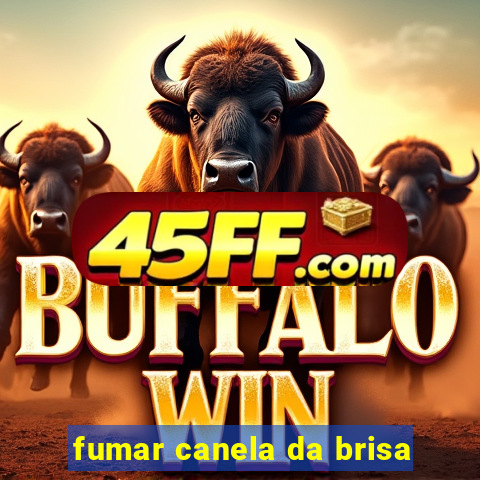 fumar canela da brisa